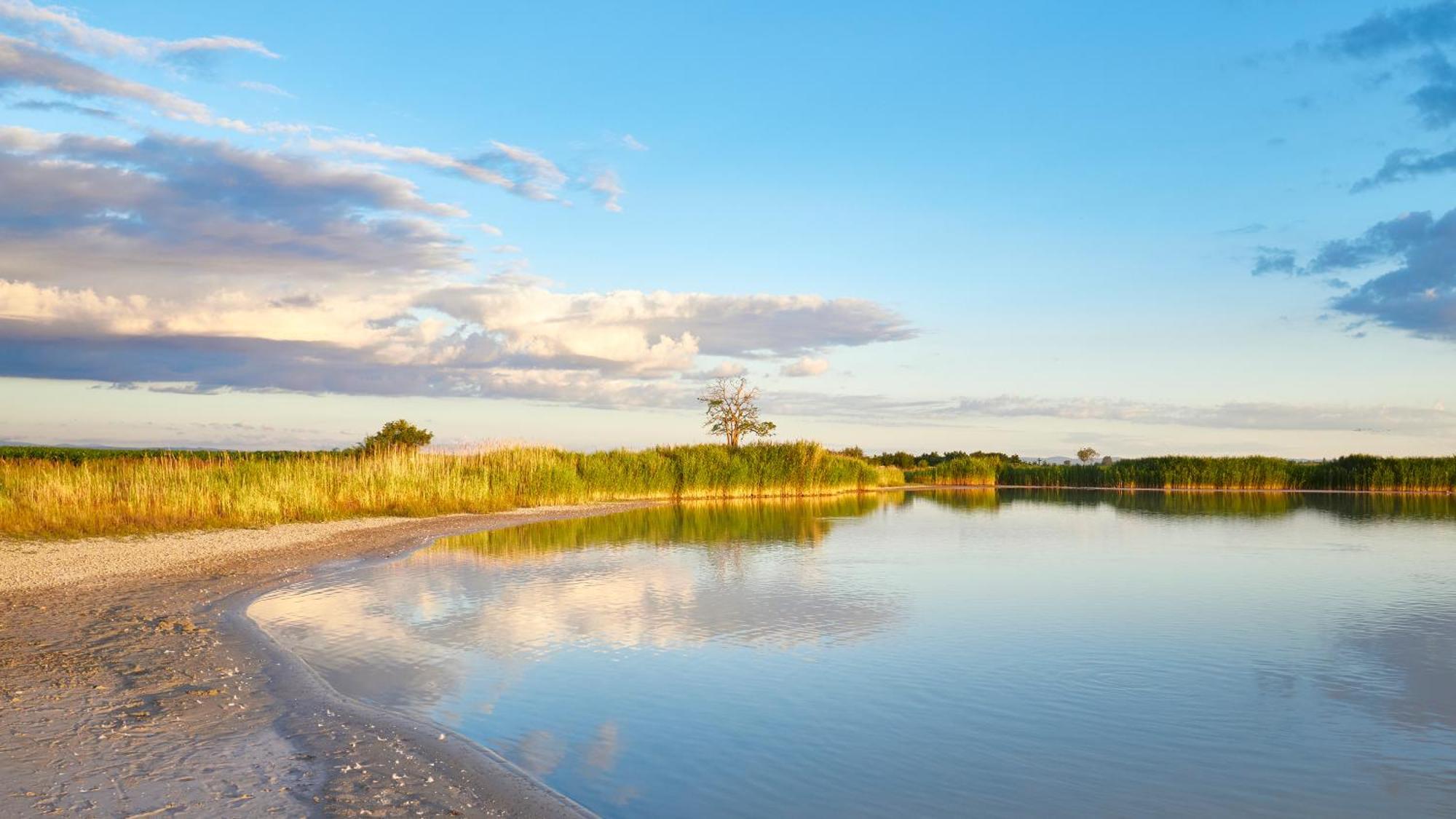 Pannonia Apartments Moerbisch Am See Luaran gambar